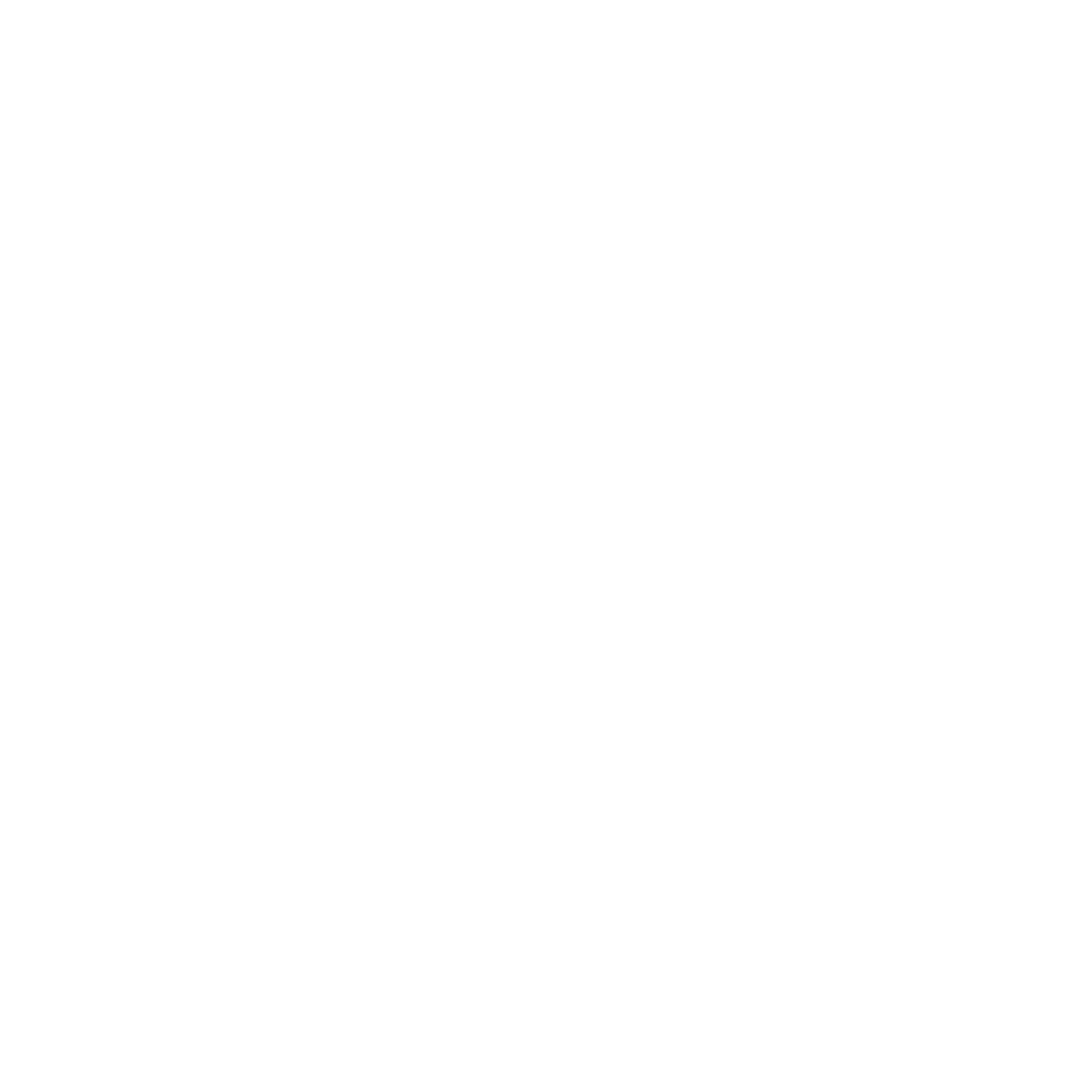 Noric Dausen Logo (Light)